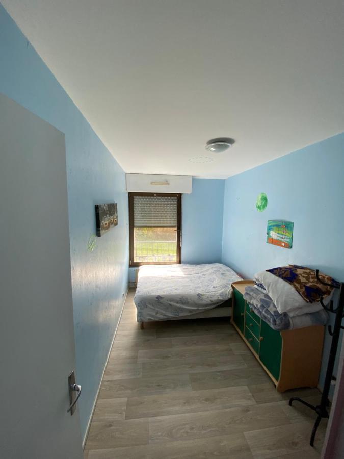 Nancy Hyper Centre, Chambre Prive Chez L'Habitant En Colocation Екстер'єр фото